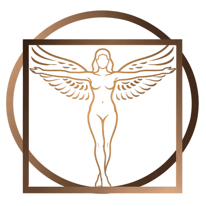 Da Vinci School logo