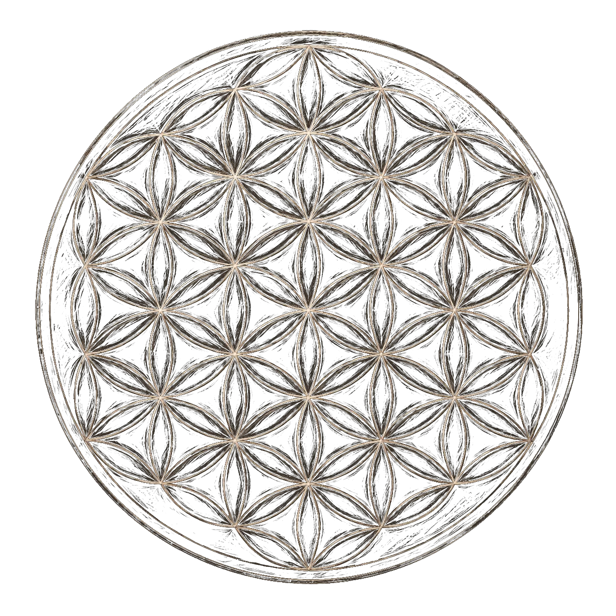 Flower of Life sacred geometry symbol
