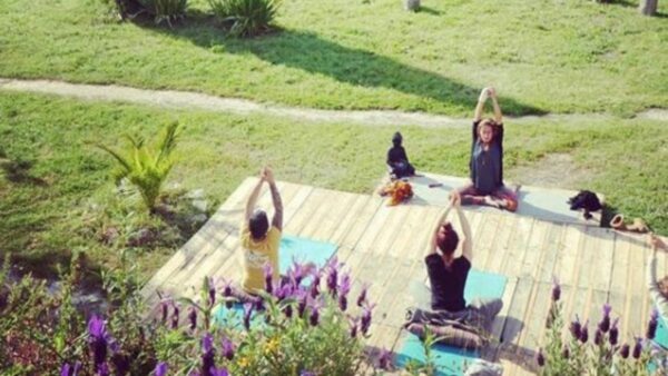 Da Vinci School - 4D Yoga retreat Portugal cover