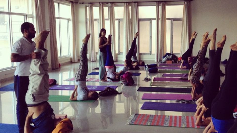 Da Vinci School - 4D Yoga retreat Portugal - yoga