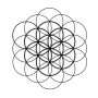 Da Vinci School - hello geometry - flower of life